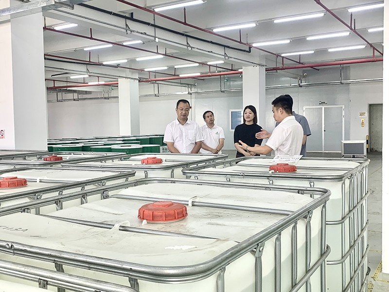 政企连心·共促发展|东莞市东城区政府领导莅临jinnian金年会新材参观指导